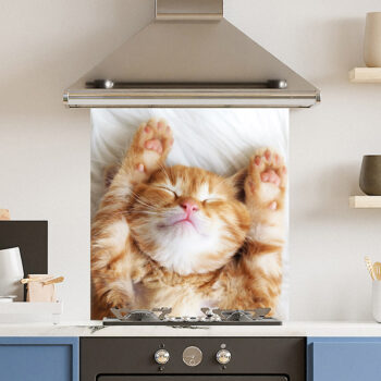 Cat Kitchen Splashback