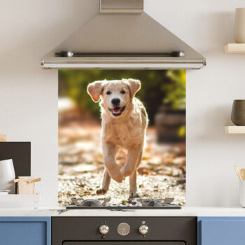 Dog Kitchen Splashback